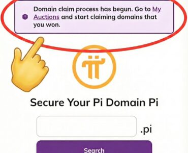 Việc claim domain.pi rất phức tạp và bạn cần chuẩn bị rất nhiều thứ nếu bạn chưa từng kinh doanh và không sở hữu 1 website nào. Trong bài viết ngắn này, Thắng sẽ chia sẻ giúp bạn những việc cần chuẩn bị để có thể claim và hợp thức hóa domain của mình.