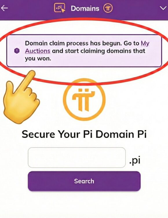 Việc claim domain.pi rất phức tạp và bạn cần chuẩn bị rất nhiều thứ nếu bạn chưa từng kinh doanh và không sở hữu 1 website nào. Trong bài viết ngắn này, Thắng sẽ chia sẻ giúp bạn những việc cần chuẩn bị để có thể claim và hợp thức hóa domain của mình.